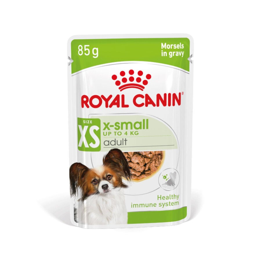 Royal Canin X-Small Adult saquetas com molho para cães, , large image number null